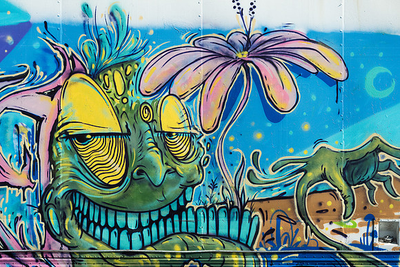 Honolulu truck art