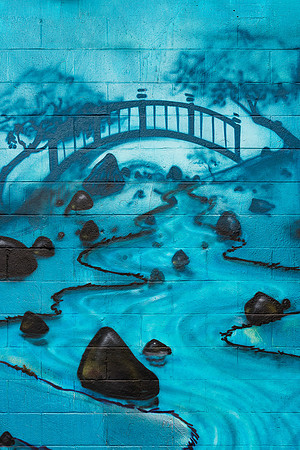 Honolulu wall art