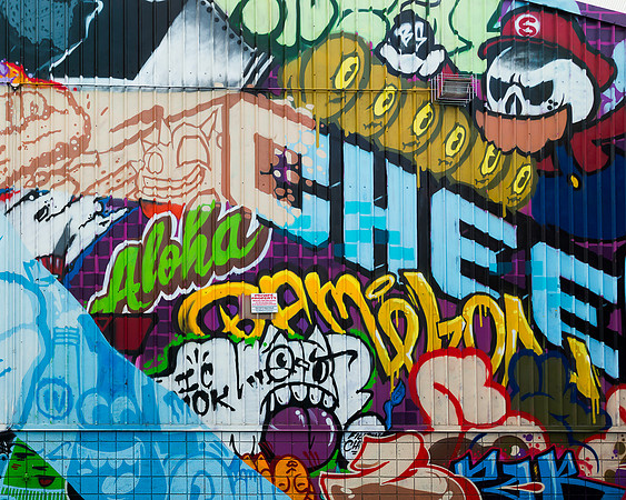 Honolulu wall art