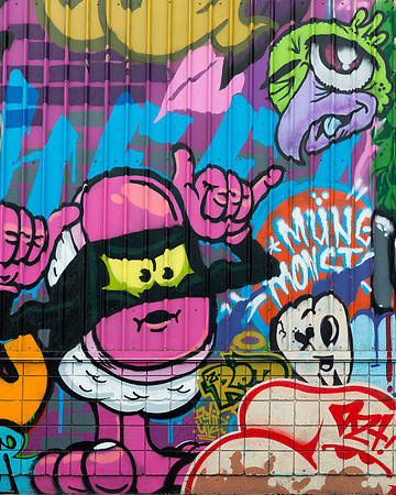 Honolulu wall art