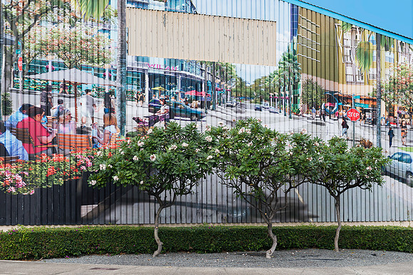 Honolulu wall art