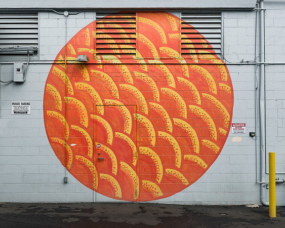 Honolulu wall art