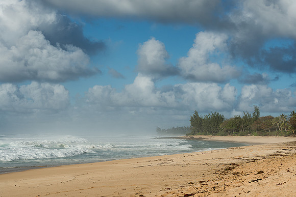 Ehukai Beach Park