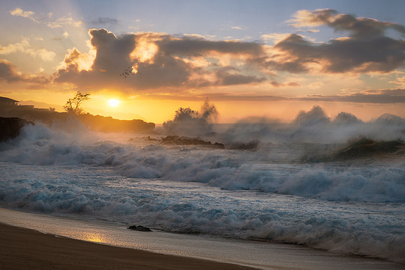 Waimea Bay Beach Park