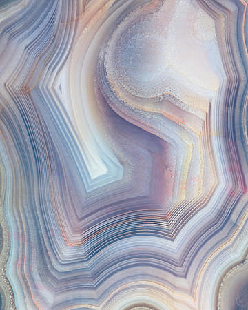 Petrified wood