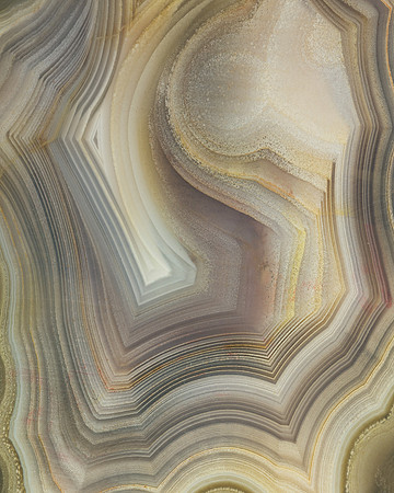 Petrified wood