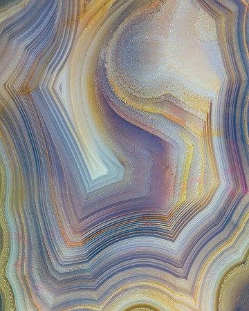 Petrified wood
