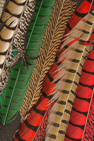Feathers