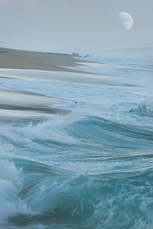 Blue Tide