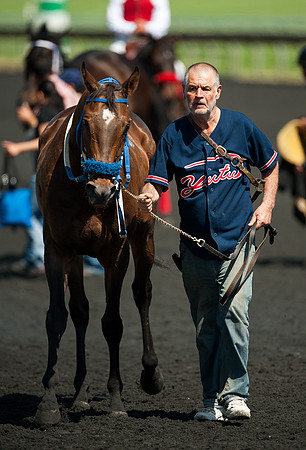 Horse racing