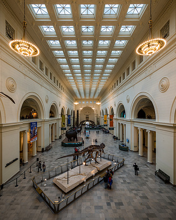Field Museum