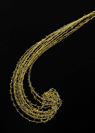Curly grass