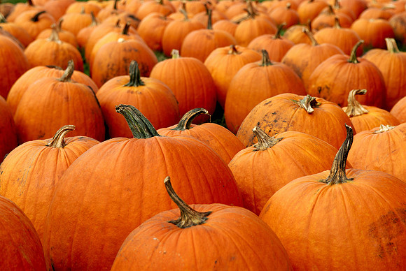 Pumpkins