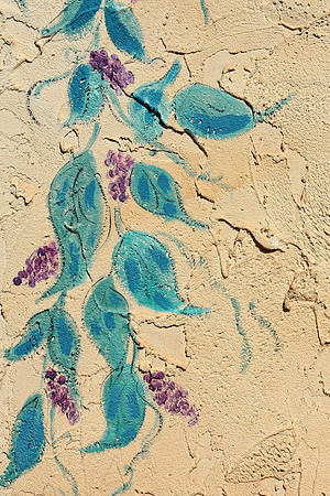 Grapes on wall