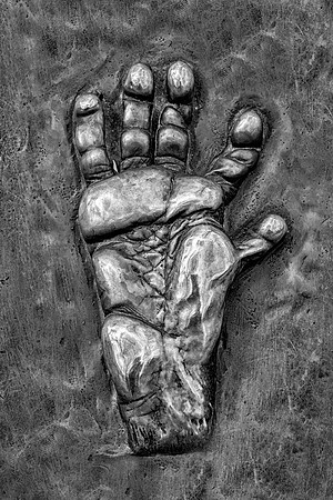 Baboon handprint