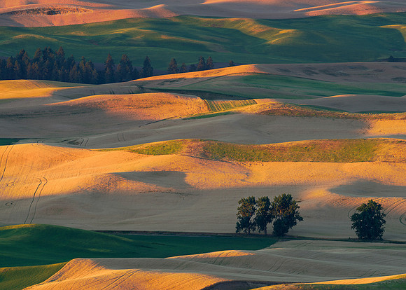 Steptoe Butte