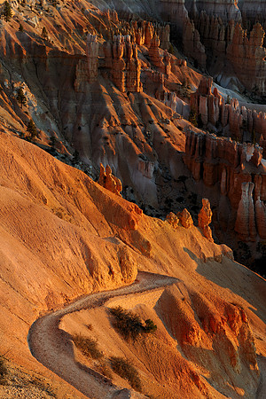 Golden path