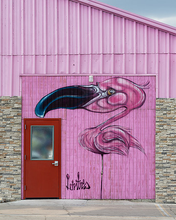 Pink barbed wire wall