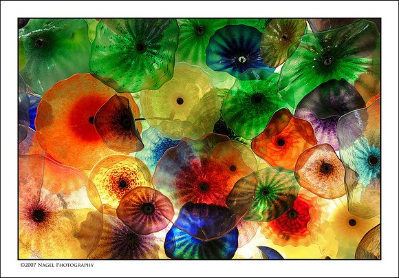 Glass flowers