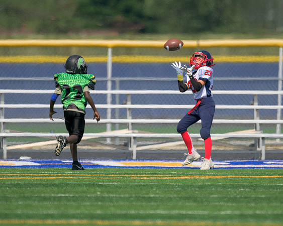 Orland Park Pioneers Football