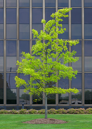 State Farm Insurance Headquarters