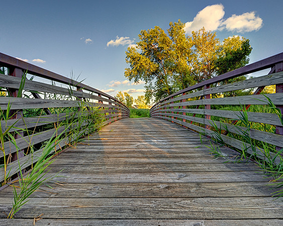 Wooden bridge