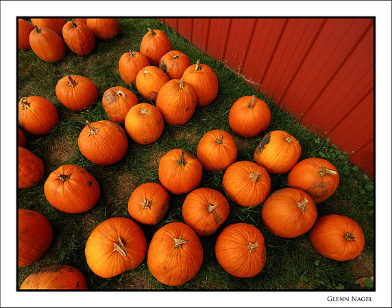 Pumpkins by barn