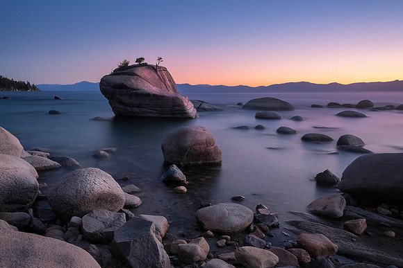 Bonsai Rock