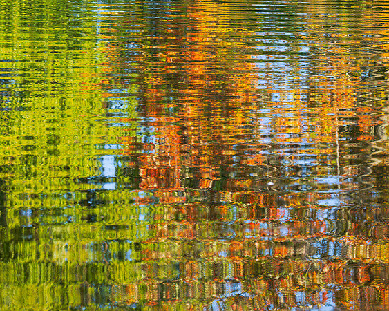Centre Island reflections