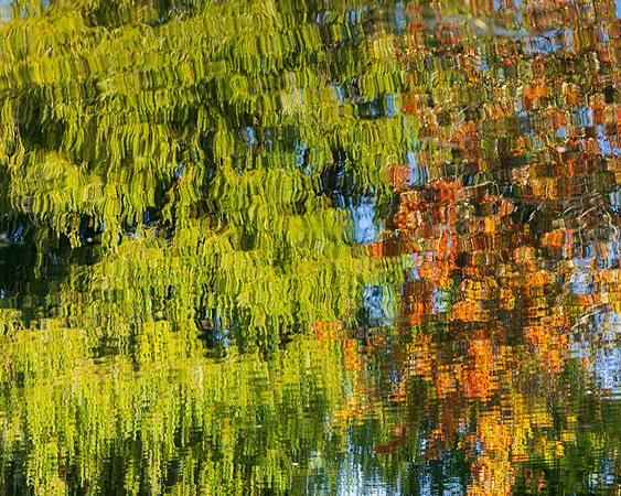 Centre Island reflections
