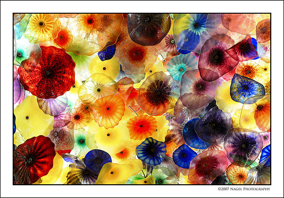 Glass flowers