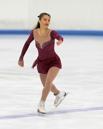 Northern Blast Figure Skating Competition
