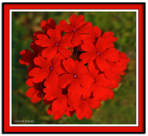 Ball of red
