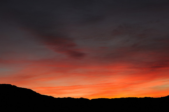 Vivid sunset
