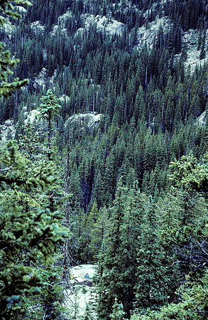 Sliprock tent site
