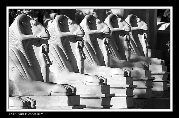 Luxor statues