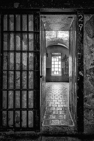 Cell 29