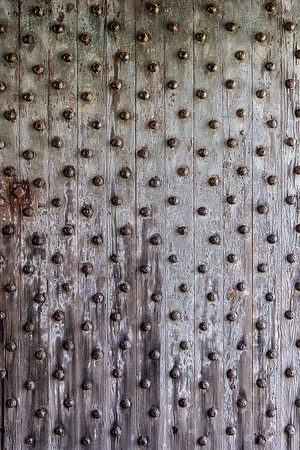 Fort doors