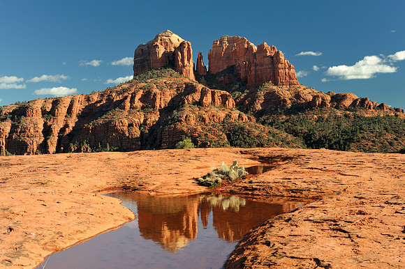 Cathedral Rock reflection