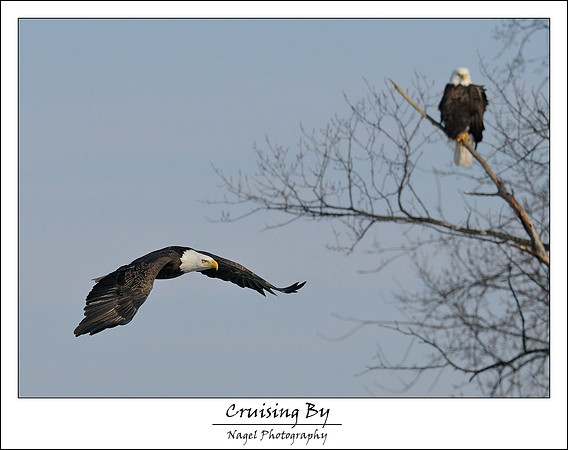 Passing by