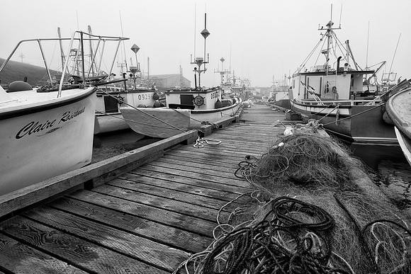 St. Bride's Harbour