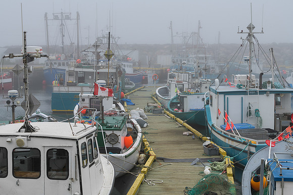 St. Bride's Harbour