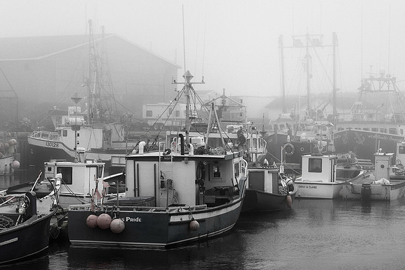St. Bride's Harbour