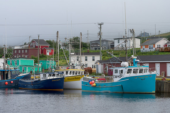 Branch Harbour