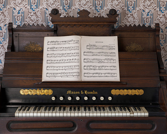 Organ