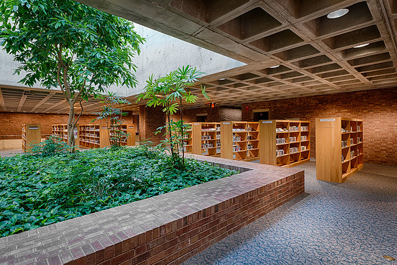 Library forest
