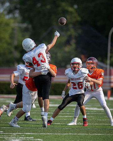 Brother Rice football