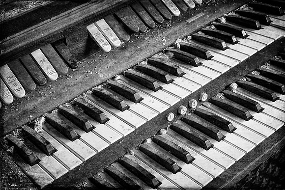 Organ