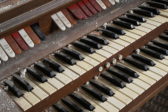 Organ