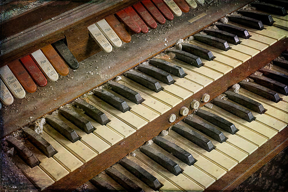 Organ